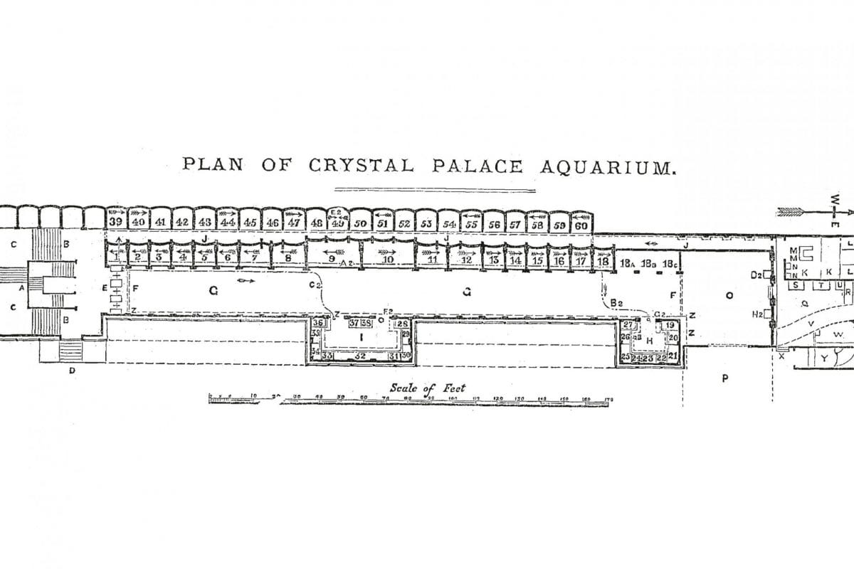 A plan of Crystal Palace Aquarium