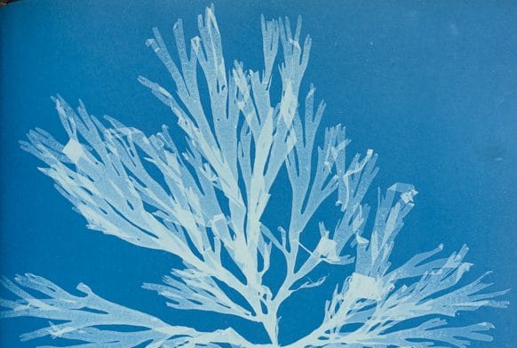 Women in natural sciences