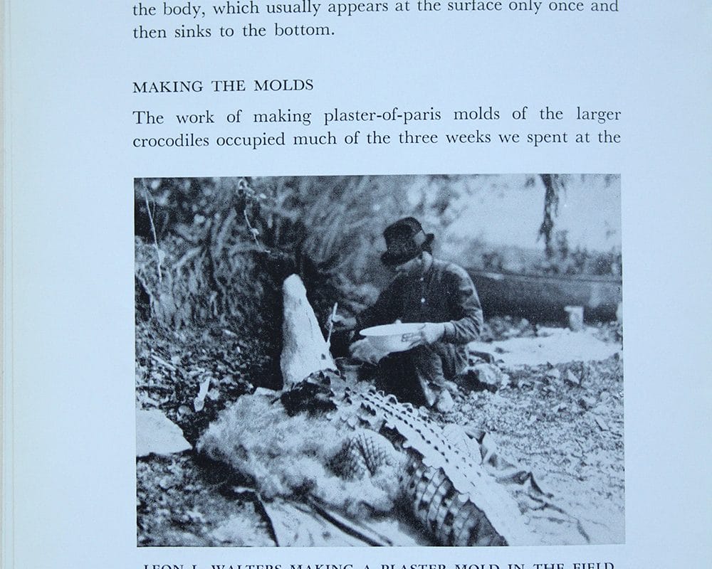 Image of a page of a book.