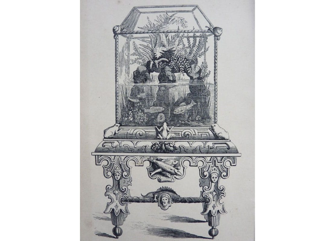 A drawing of an old ornate aquarium case