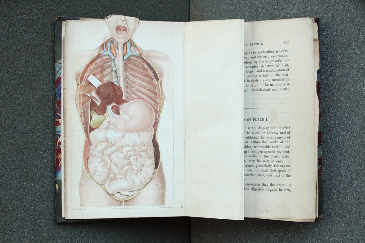 Book with illustration of human anatomy