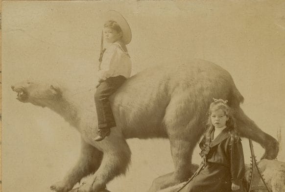 The Case of the Missing Polar Bear