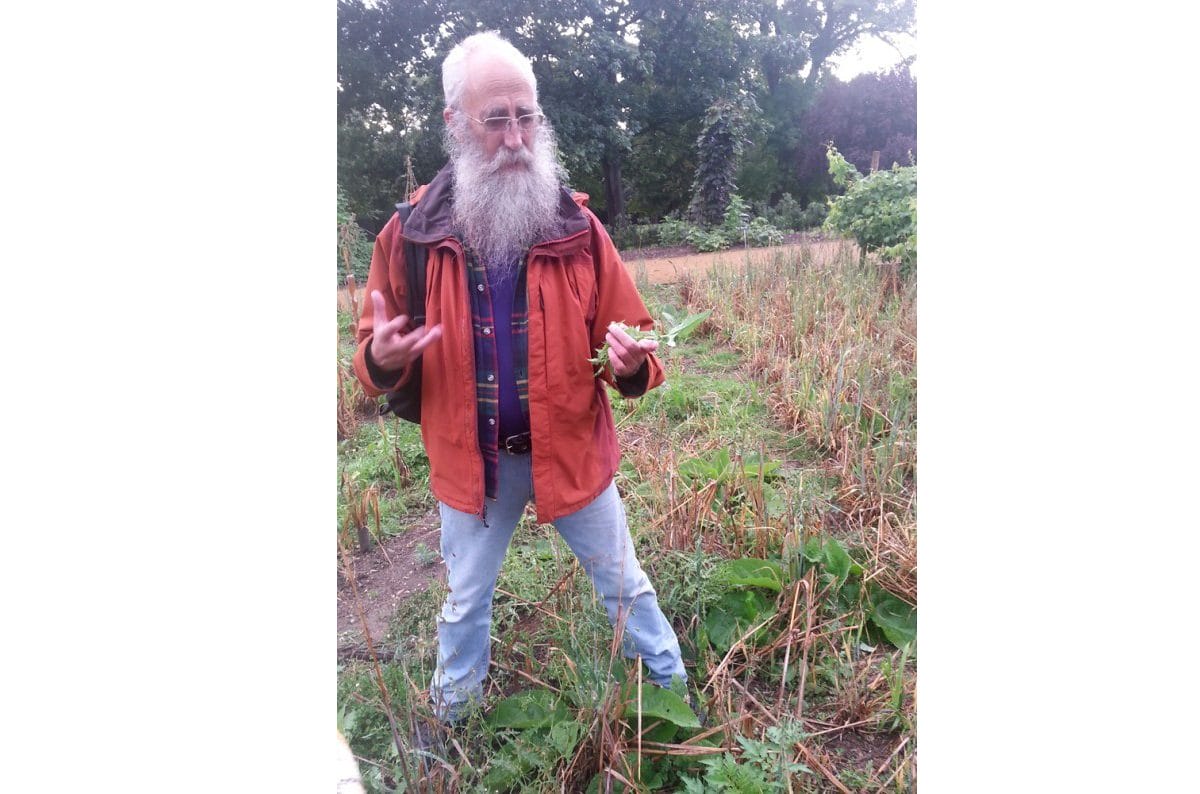 Man standing in grass talking