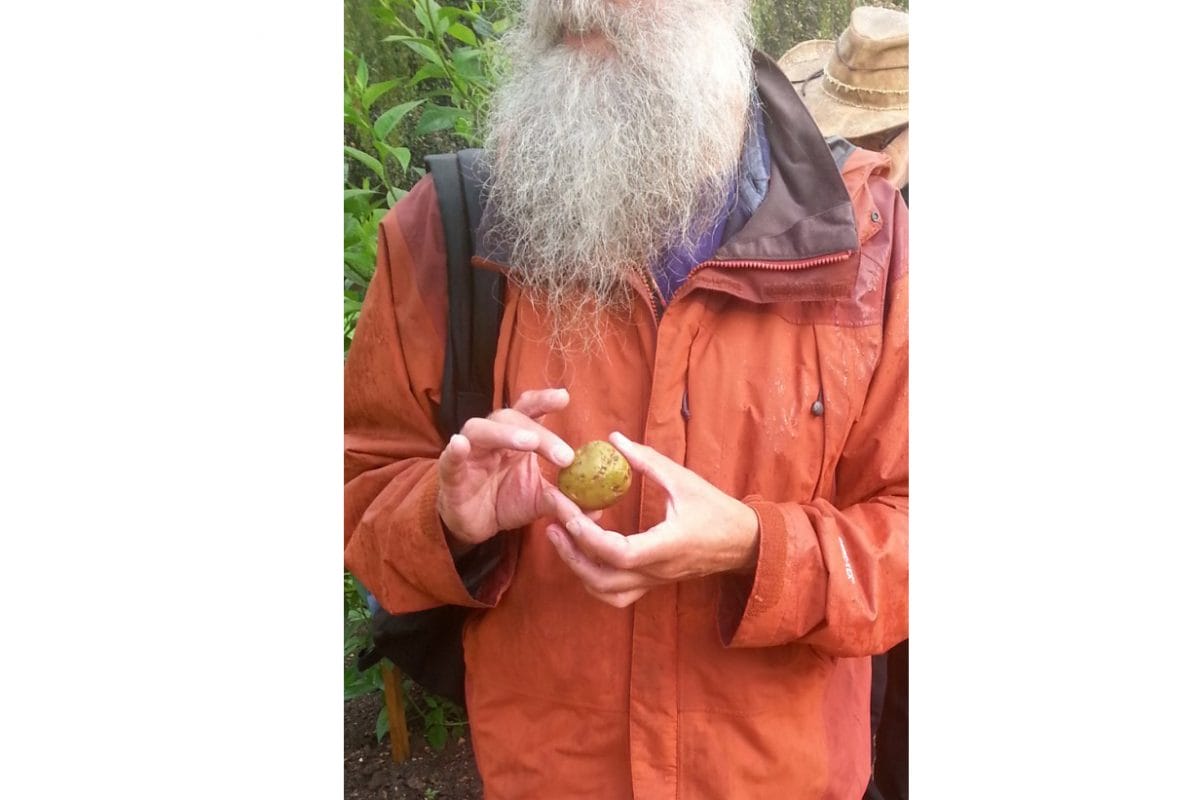 man holding potato