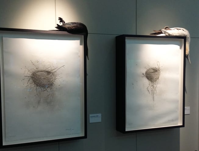 taxidermy on top of illustrations in a frame.