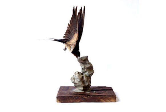 About the Art: Polly Morgan