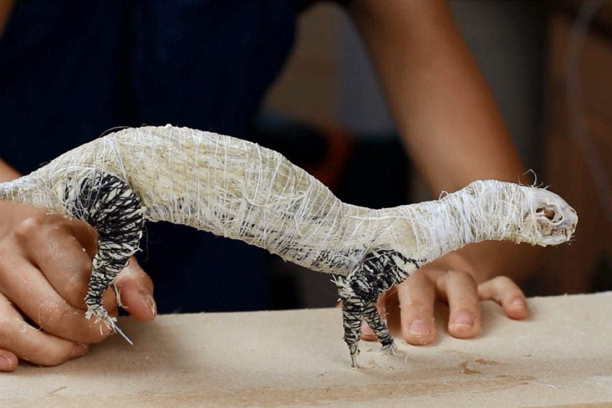 A taxidermy model without the skin on - wires and stuffing along with a skull, all shaped to resemble the body of a stoat