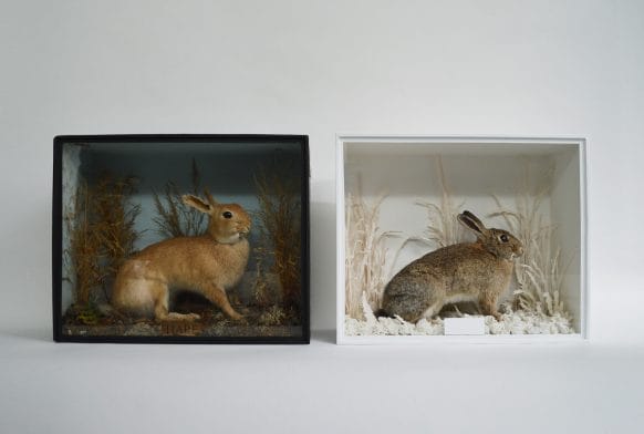 About the Art: Jazmine Miles-Long