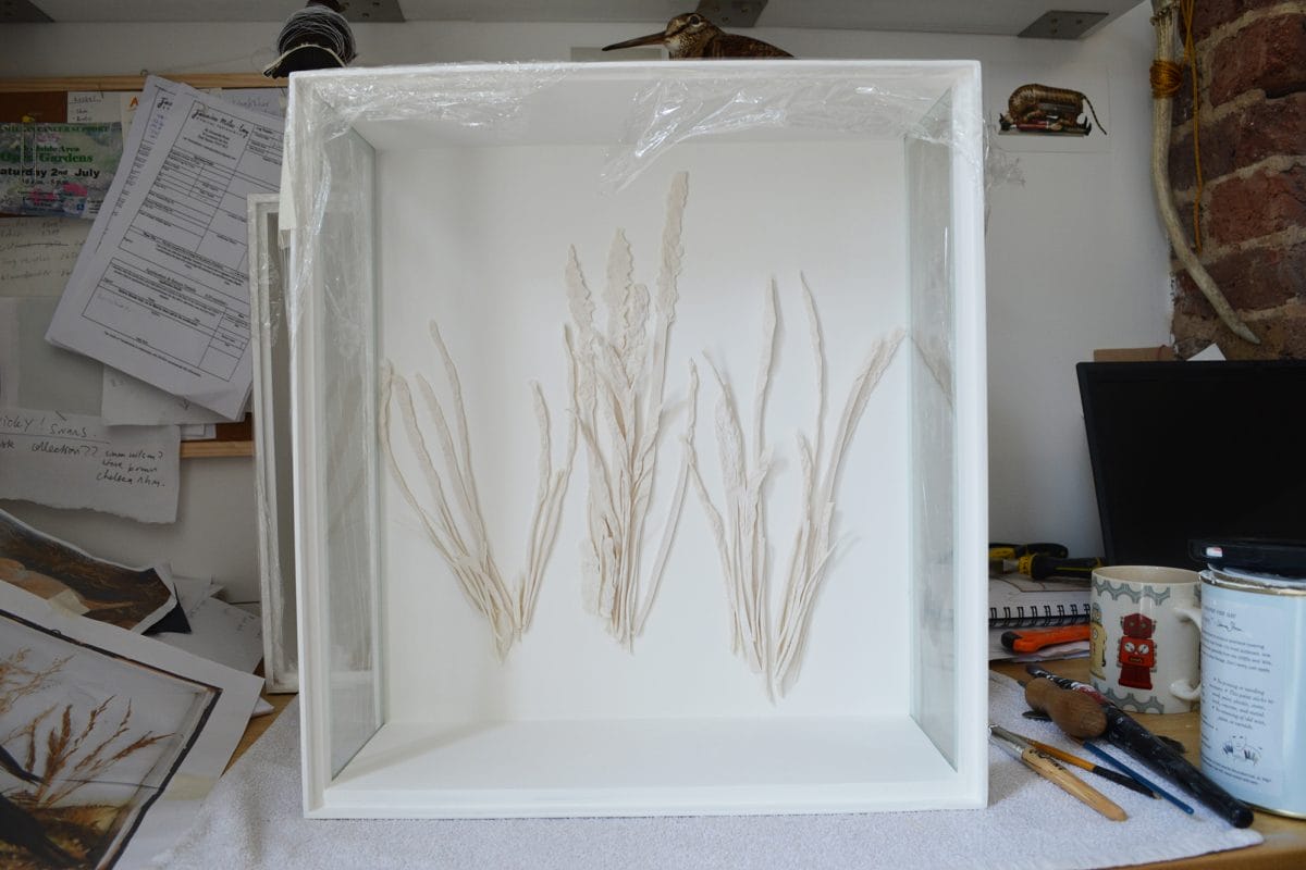 Ceramics in white case.