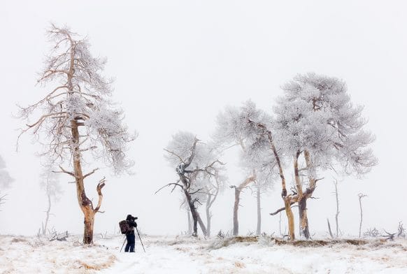 About the Art: Andrew George