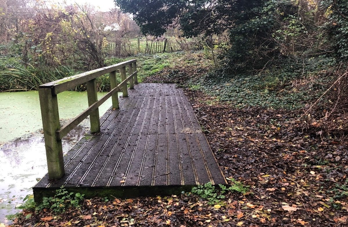 Walkway next to pond in woodland area.