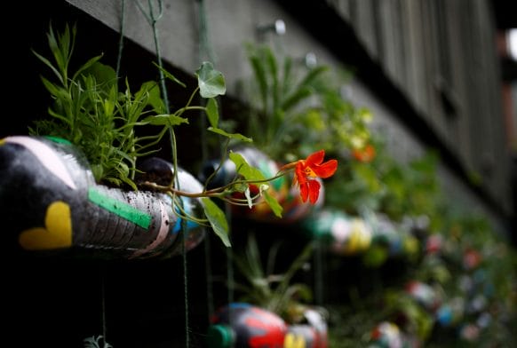 Primary pupils create Matisse-inspired Bottle Garden at the Horniman