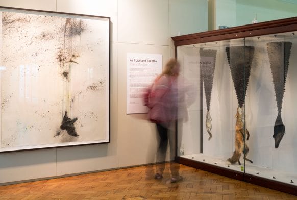 About the Art: Claire Morgan