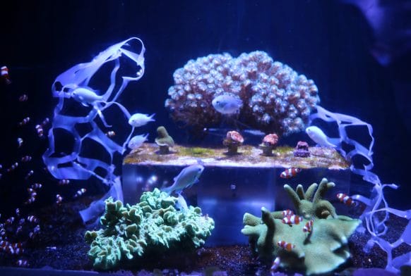 Beat Plastic Pollution shortlisted for Museums Change Lives Award