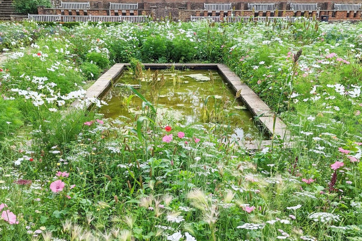 The Sunken Gardens full of lush green plants