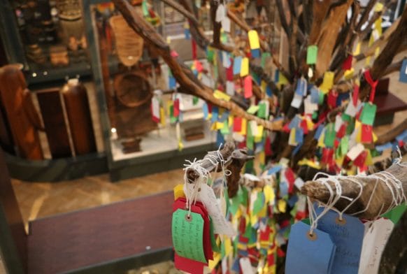 Horniman announces further details of new World Gallery opening on 29 June 2018