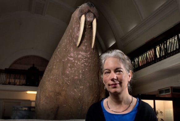 Eve Salomon awarded CBE in New Year Honours 2023