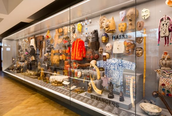 Funding gives green light to new Horniman Collections Research Hub