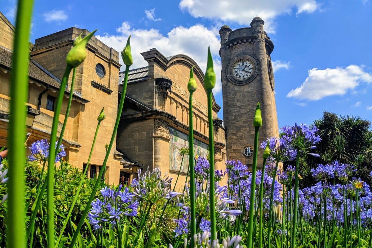 The Horniman Museum seen behind plants.