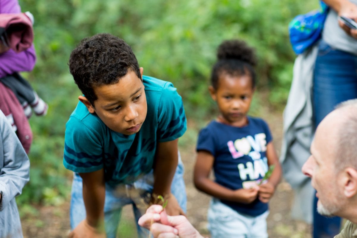 A boy looks closely at a plant held by a man knelt on the ground. A young girl looks on. They are all outside in a green area