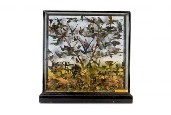 Researching Natural History Curators with U3A