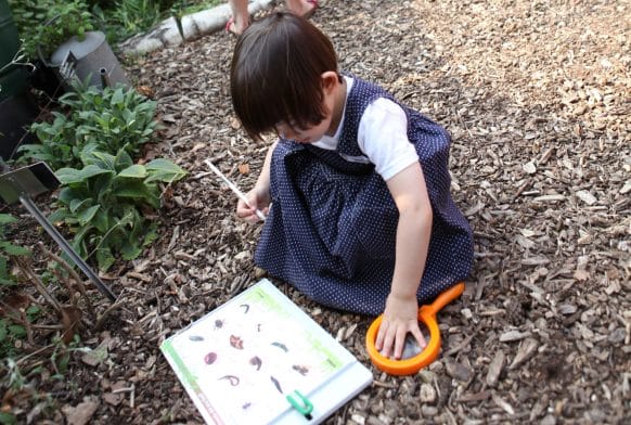 Join in with City Nature Challenge