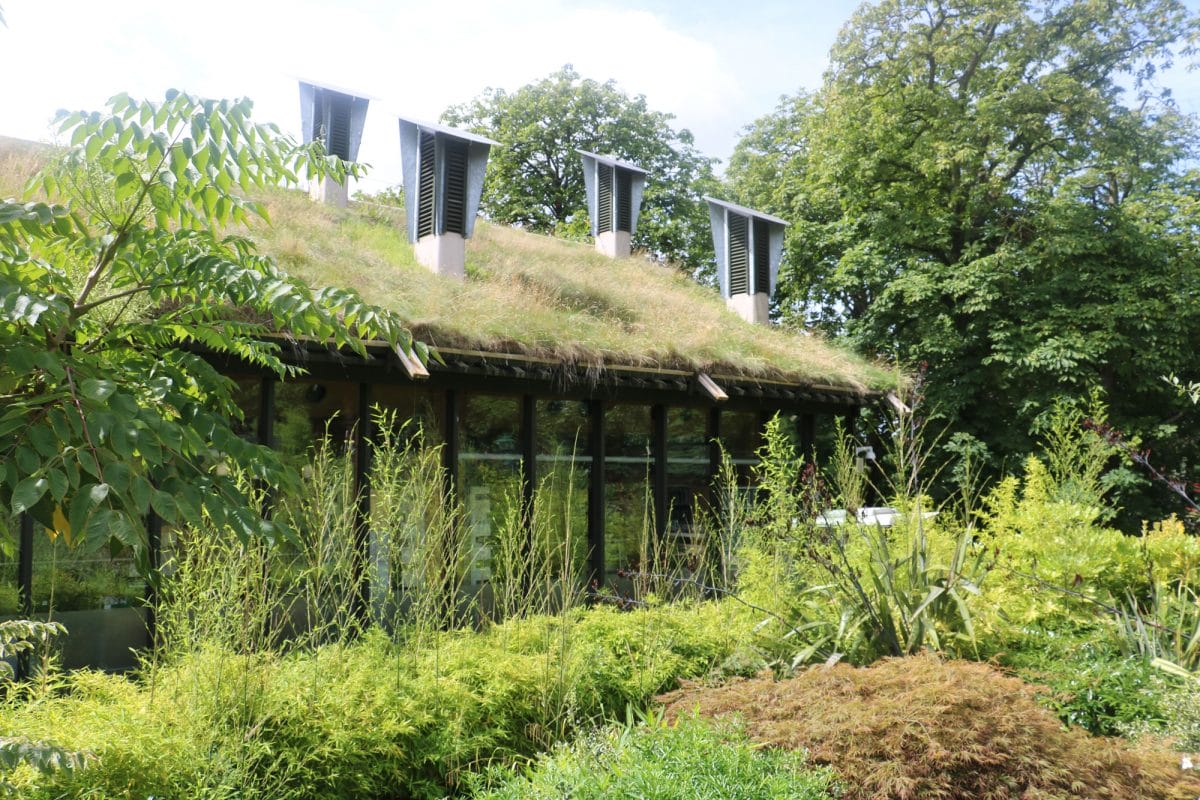 The Horniman library with a green roof