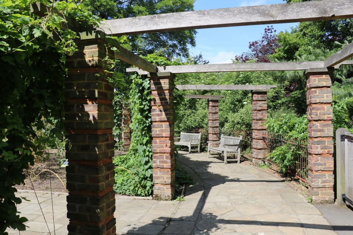 A path in the Horniman Gardens