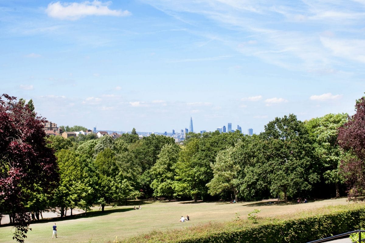 A grassy meadow at the Horniman