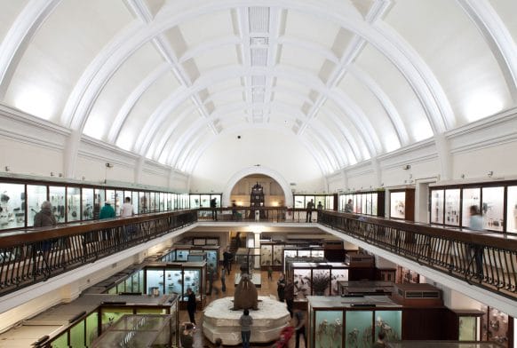 The history of the Natural History Gallery