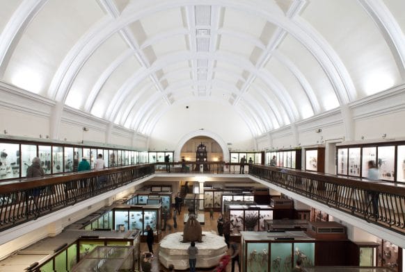 Then and Now: the Natural History Gallery
