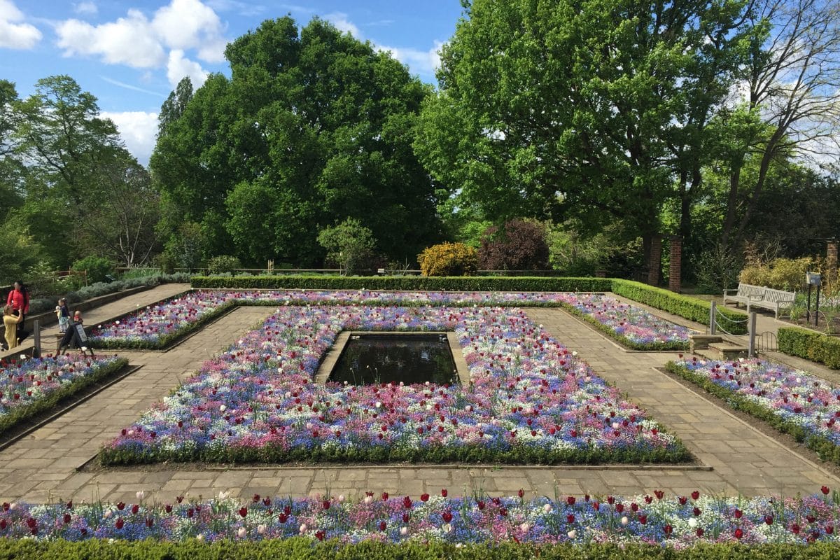 A square pond surrounded by flower beds