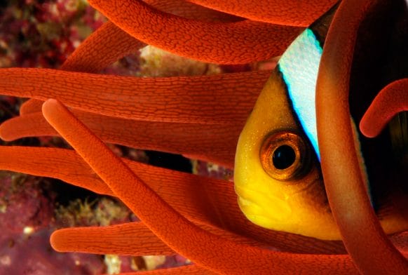 A Big Thank You with The National Lottery Heritage Fund