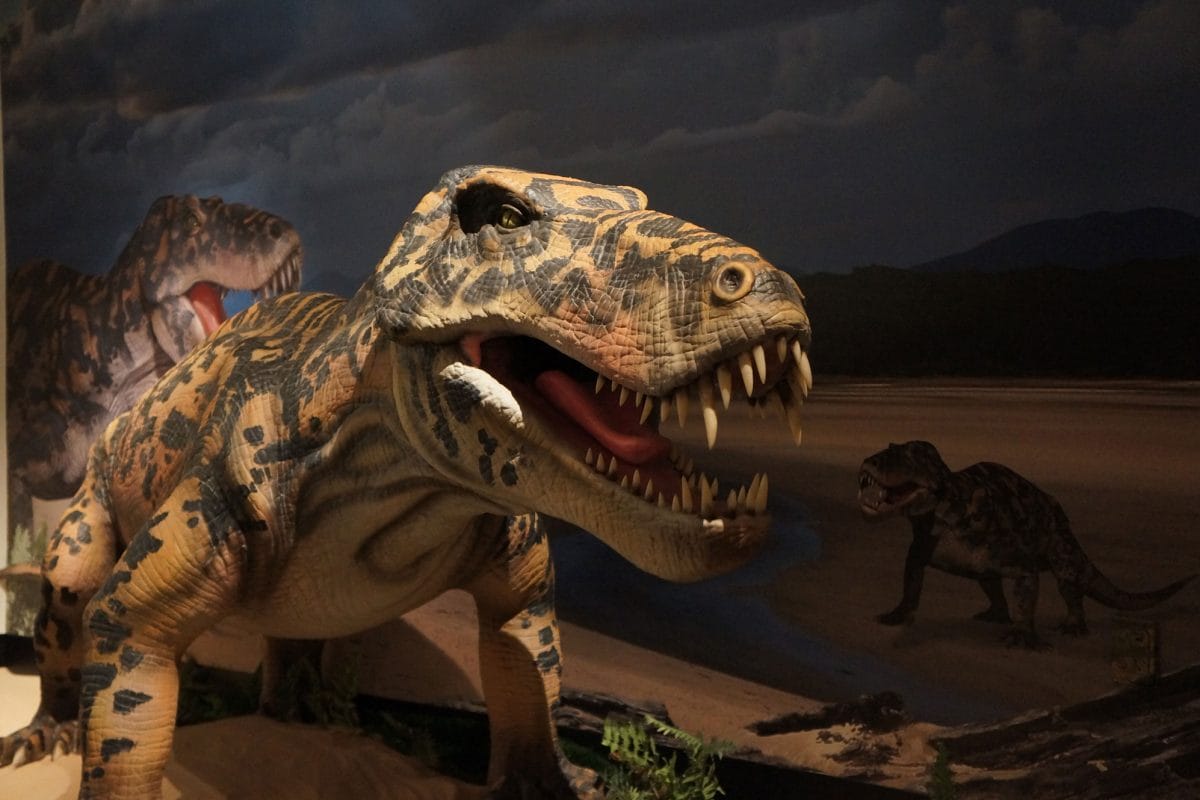 A model of a synapsid