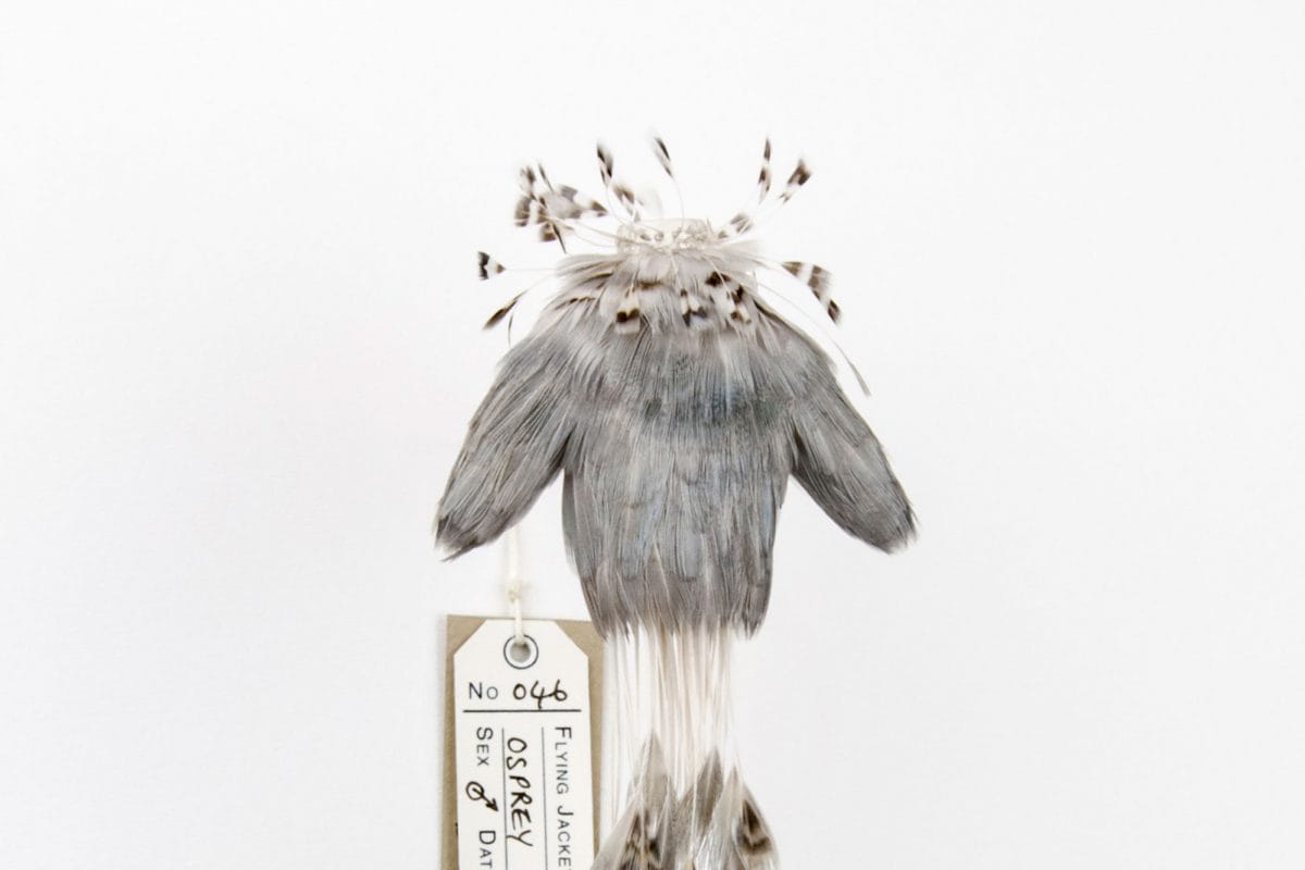 Top with feather headdress and tassels