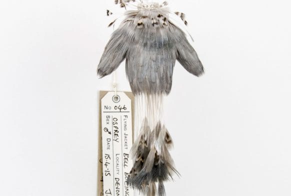 About the Art: Jane Edden