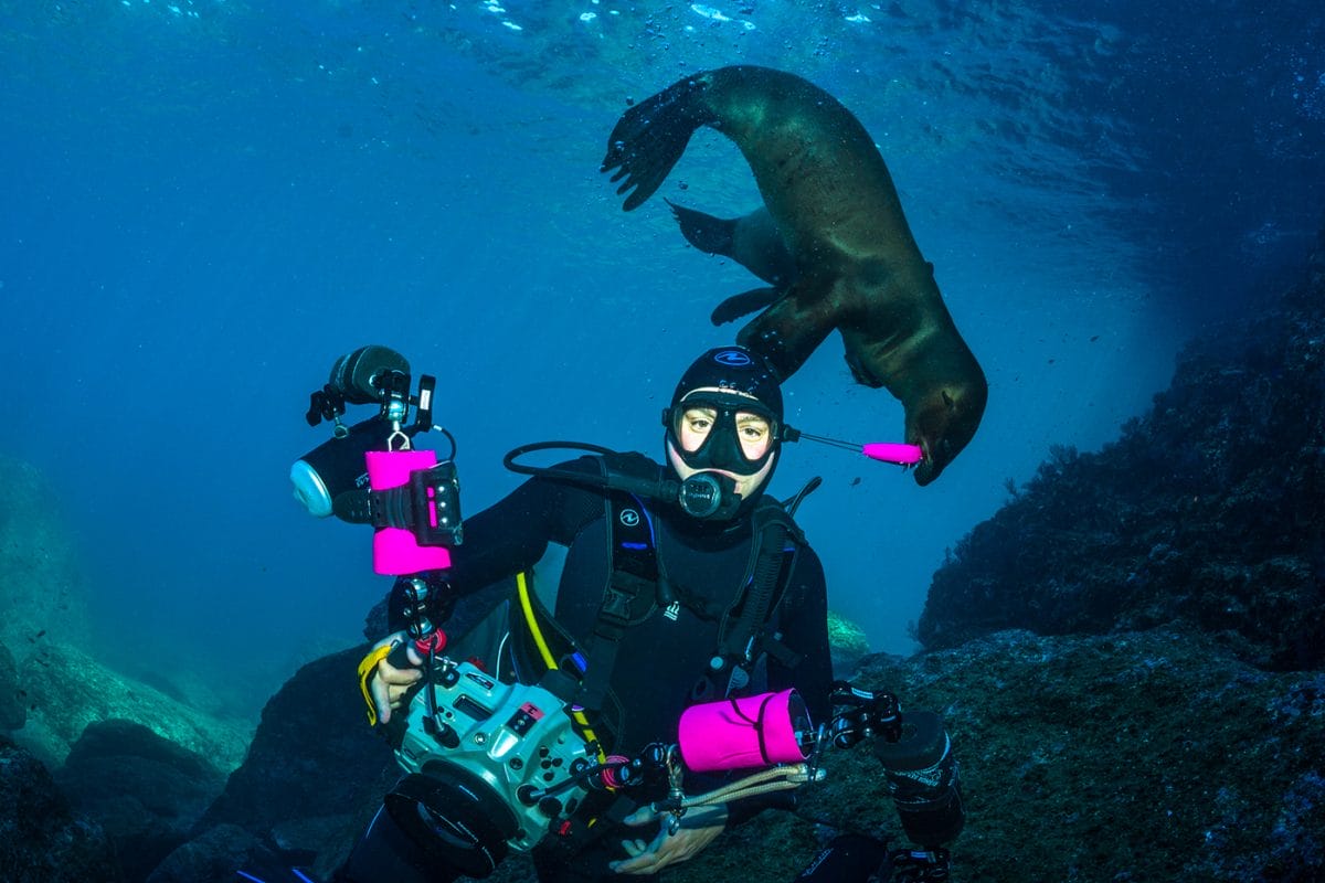 Man in sea looking at camera, seal swimming behind him