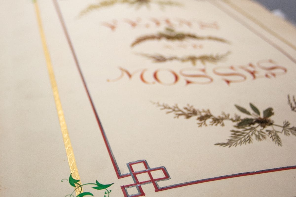 A close up at an angle close to the paper, of a page in a book. The page says ferns and mosses in a decorative script, there are decorations around it in gold, green and red lines, with plants and leaves.