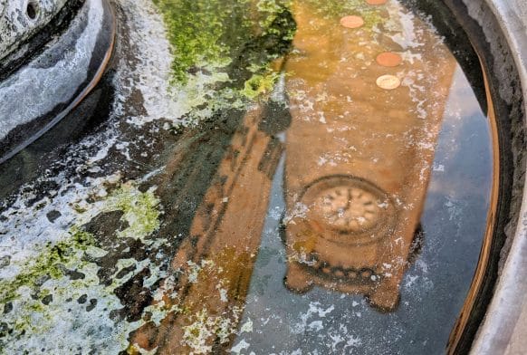 Surprising Facts About the Horniman