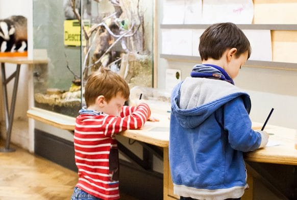Horniman wins Best Large Museum in Family Friendly Museum Awards 2021