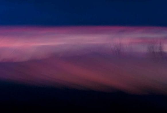 About the Art: Jan van der Greef