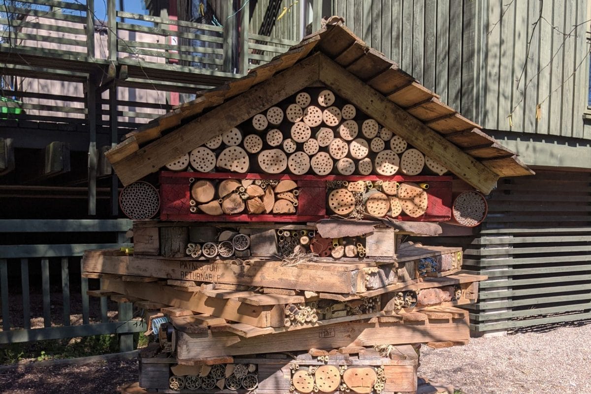 A close up of a bee house - wooden palettes and logs piled together to resemble a house