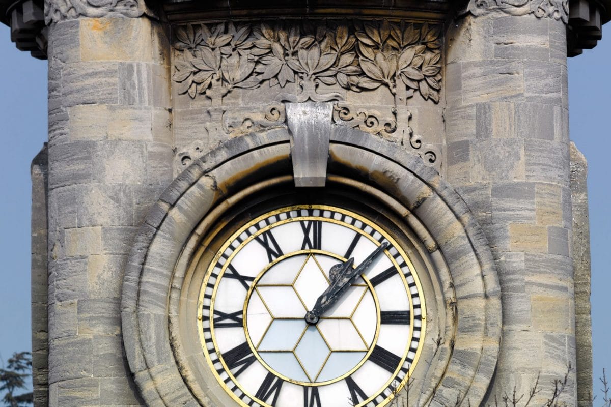 A close up of the top of the Horniman clocktower, with trees growing around the face