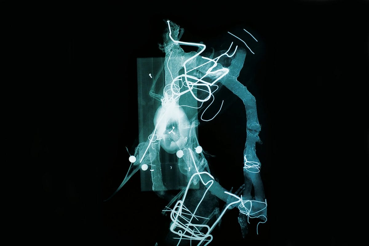 Black and blue hued image, xray of two skeleton birds.