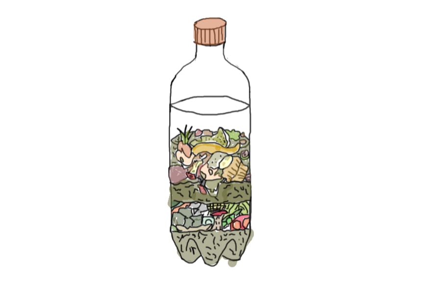 Illustration of bottle filled with leaves and fruit on white background