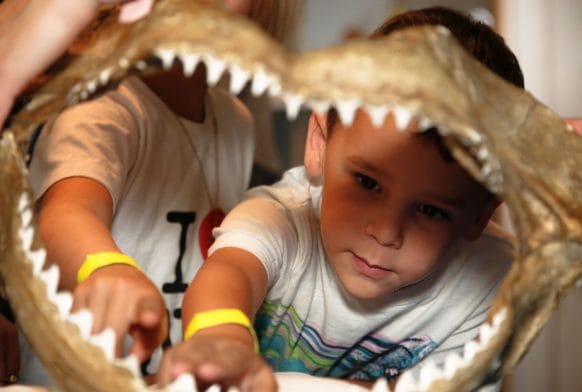 Horniman shortlisted for national Family Friendly Museum Award