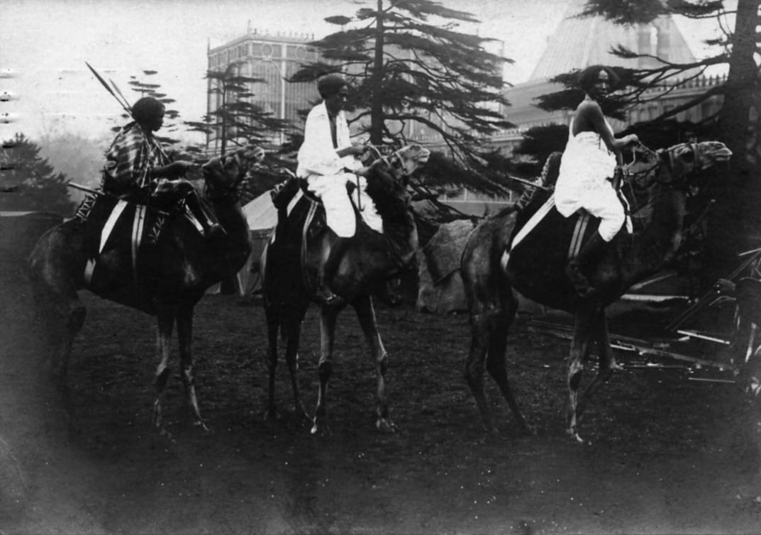 Black and white image of 2 women riding horses