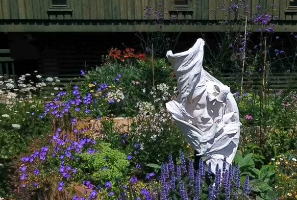 Horniman Bee Garden wins Bees’ Needs Champions Award