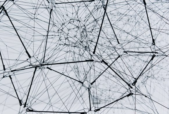 MAGNET &#8211; developing the network