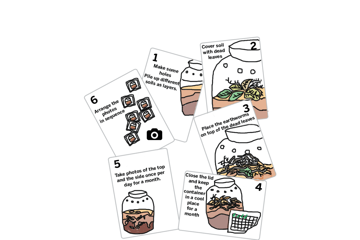 Cards that read: Collect 2 to 4 different soils with different colours. Avoid using peat or plain sand as it may harm the earthworms. Make some holes in the upper 5 centimetres of the container to allow air to pass through. Moisten the soil. Pile up the different coloured soils as layers, mixing them as little as possible. Leave a couple of centimetres at the top. Cover the surface with the dead leaves and bits of old plants. Go out and look for some earthworms in your local park or garden. Put 20-30 earthworms on top of the dead leaves and old plants. Close the container with the lid and keep the container in a cool and dark place for about one month. Check back regularly so that the soil does not dry out. You might want to take a photo of the side and top of the container once per day. Maybe you can also record videos on some days. Arrange the photos in date order and explore the differences between the beginning and the end of photos.